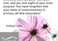 eckharttolle-image